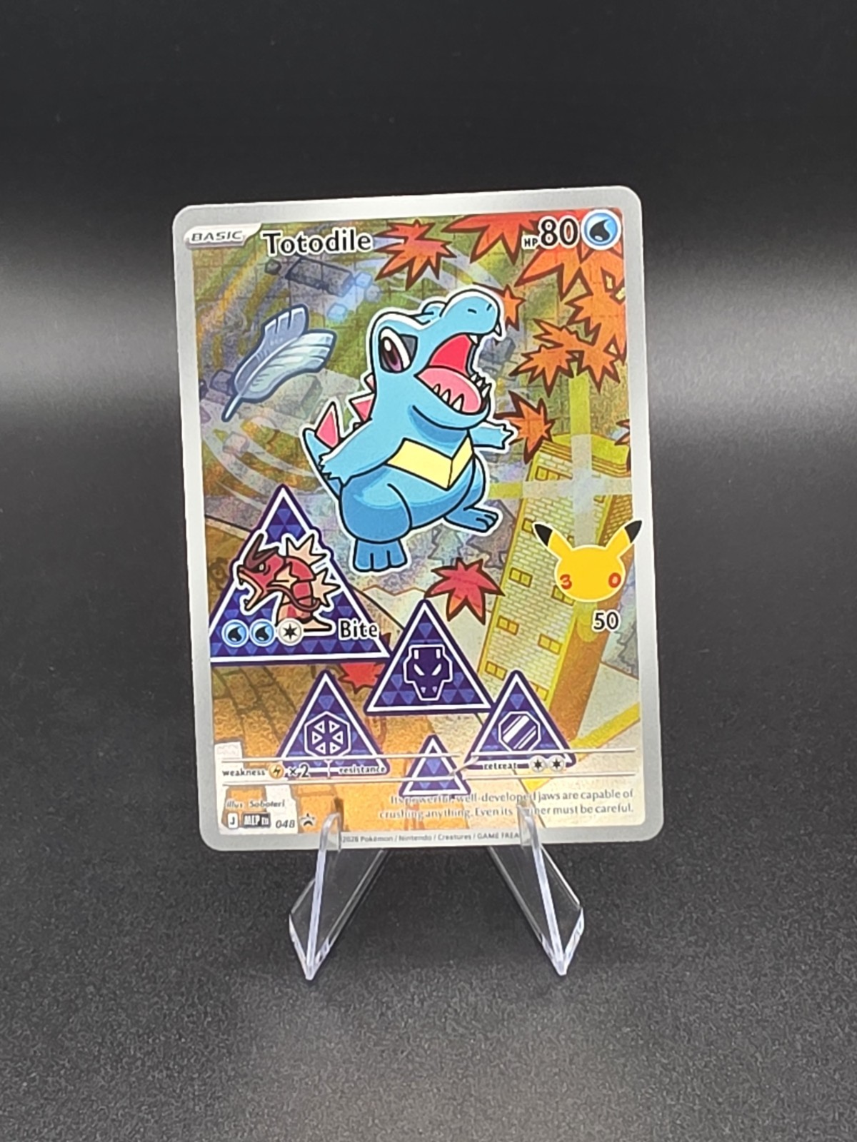 Pokémon TCG Totodile 048 Black Star Promo First Partners Collection Series 2 NM