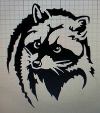 Raccoon Decal