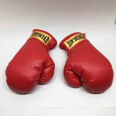 everlast boxing gloves small
