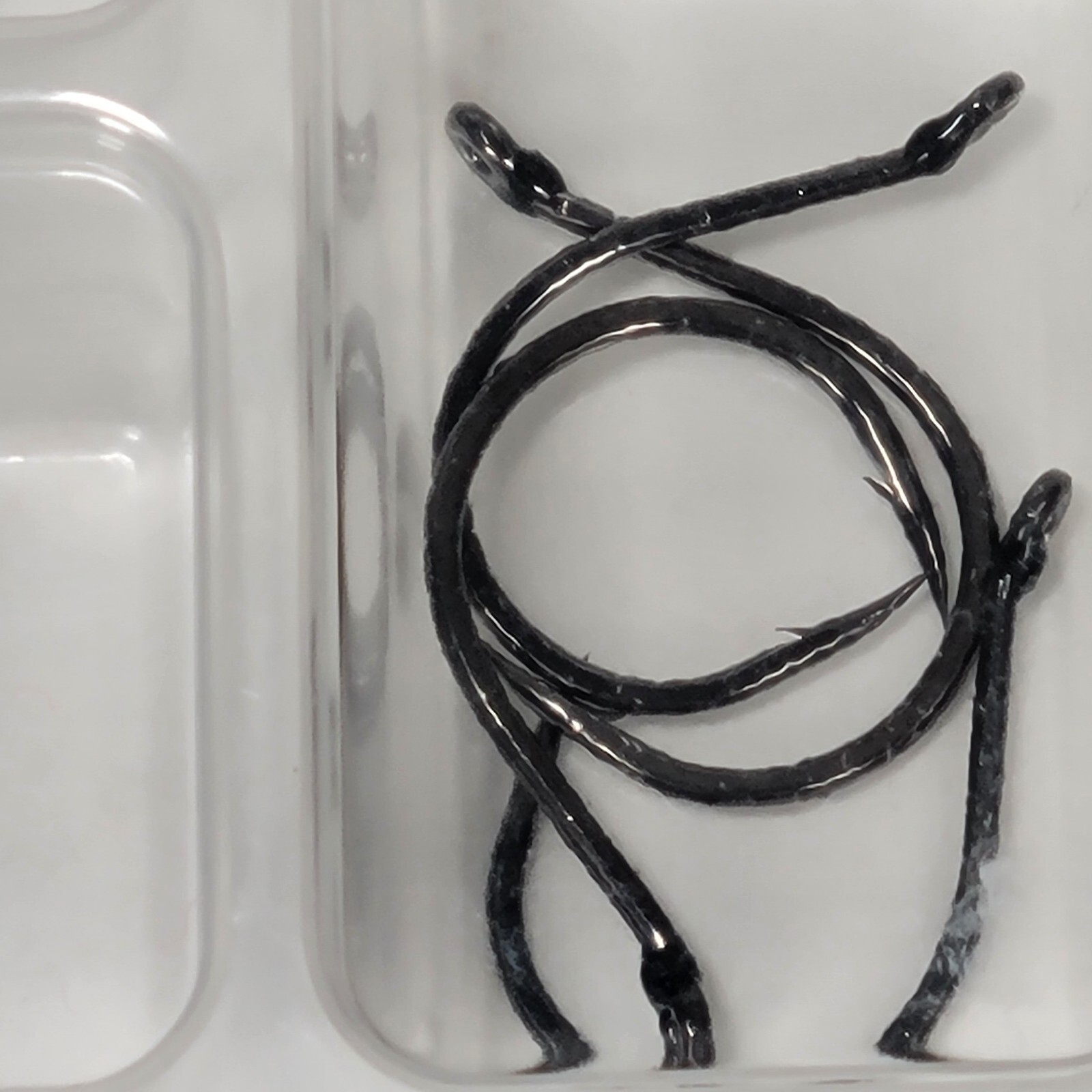 VMC Wacky Rig Kit 19Piece Bass Fishing Terminal Tackle Kit for Soft