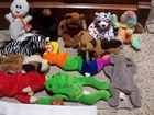 Nice Clean Lot of 12 TY Beanie Babies, Vintage,  With Their Tags In Great Shape