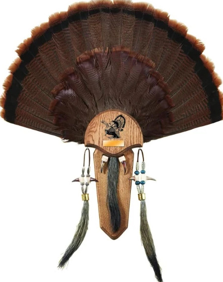 Turkey Tail Fan Mount Kit Trophy Strut Woodgrain Finish Plaque Mounting Hunting