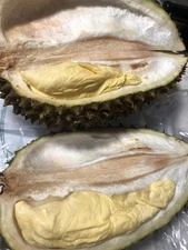 2 Rare Dark Yellow Sweet Durian Seeds(Durio Zibethinus)King Of Fruit