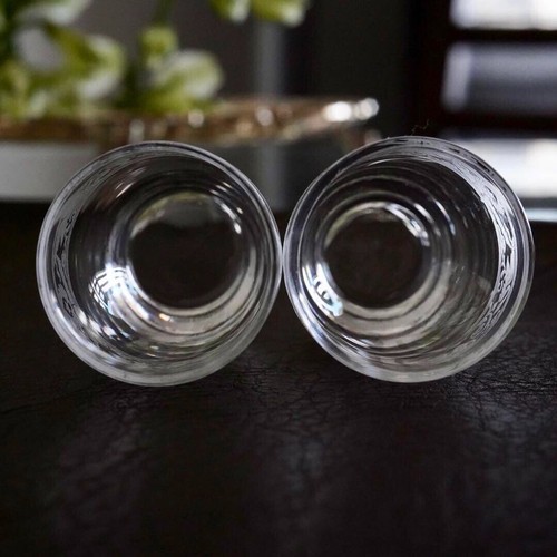 Baccarat Cygnes Antique Crystal Liqueur Shot Glass Pair Swan Etched Old - Picture 16 of 17