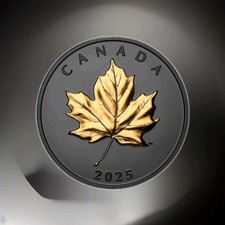 2025Canada Gilded Elegant Maple $20 1 Oz 99.99% Pure Silver Matte Proof Coin–RCM