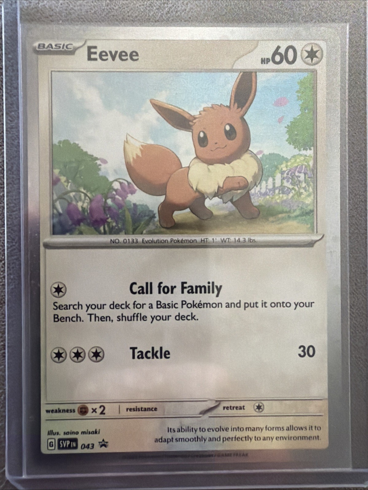 Pokémon TCG Eevee SVP043-HOLO Black Star Promo Mint/Near Mint
