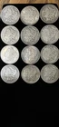 12 Morgan Silver Dollars