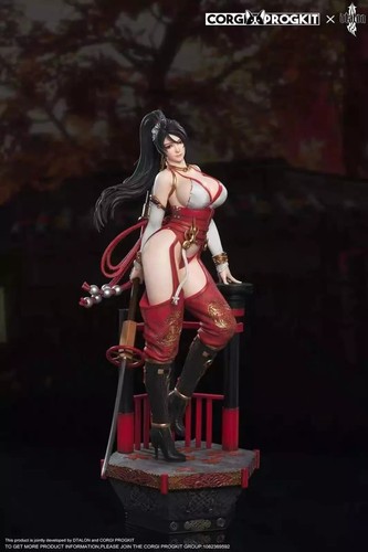 Statua in resina Dtalon Studio Dead or Alive Momiji scala 1/4 fusa dipinta Corgi - Foto 10 di 12
