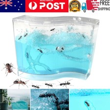 3D Ant Farm Educational Maze Castle Experiment Toy for Study of Social Structure