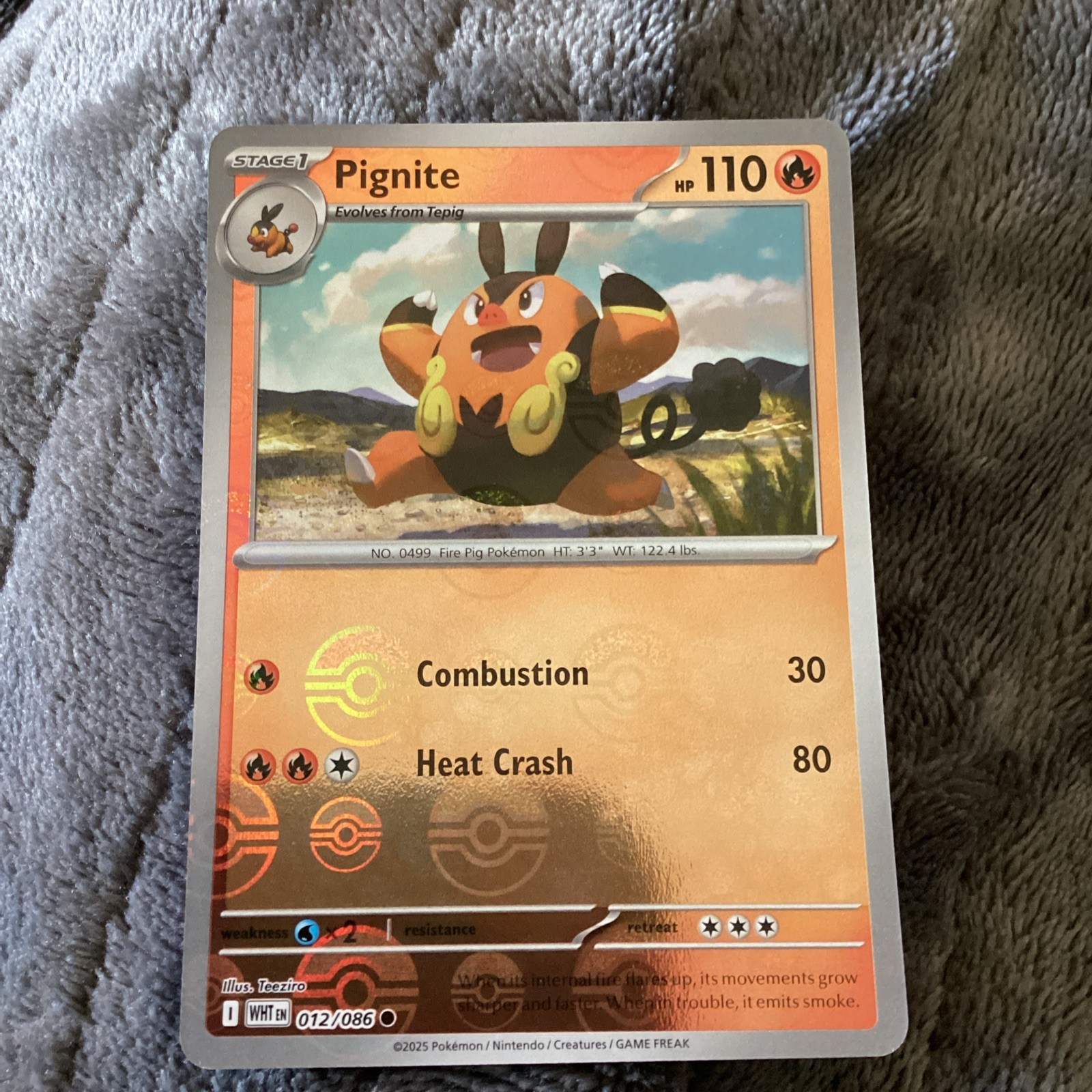 Pokémon Pignite - 012/086 - Pokeball Holo - NM - White Flare