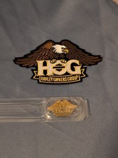 Harley gruppo di proprietà Eagle Symbol HOG ferro su toppa e set SPILLA ORO 2013 