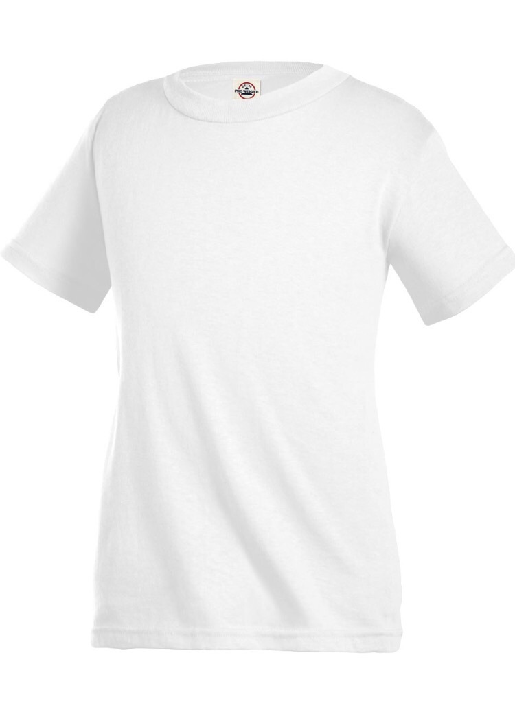 PLAIN KIDS T SHIRTS BEST SHIRT BEST PRICE DOZEN COLORS DELTA APPAREL OR