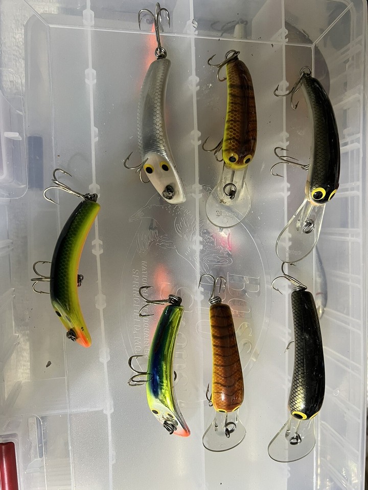 BAGLEY DIVING SMOO "2 and 3 LURE eBay