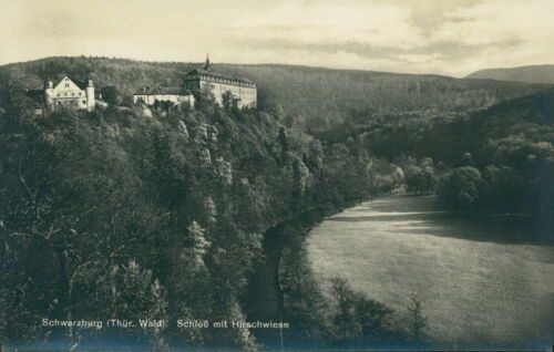 Ansichtskarte Schwarzburg Thür. Wald Schloß mit Hirschwiese (Nr.795)
