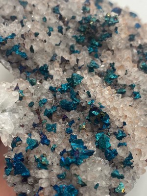 XL Blue Chalcopyrites on Light Red Quartz! See Video!!!