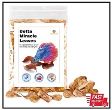 SunGrow 50 pcs Catappa Indian Almond Leaves for Betta Fish Tank Aquarium, 2  Wat
