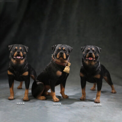 Mr.Z 1:6 Animal Resin Simulation Toy Rottweiler Dog Figure 5 Model