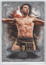 2015 Topps WWE Undisputed NXT Prospects Silver 15/25 Hideo Itami #NXT11 0w6