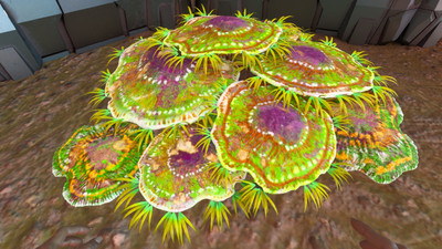 ark survival ascended Pve Aberration Glowing Coral Plant Pot