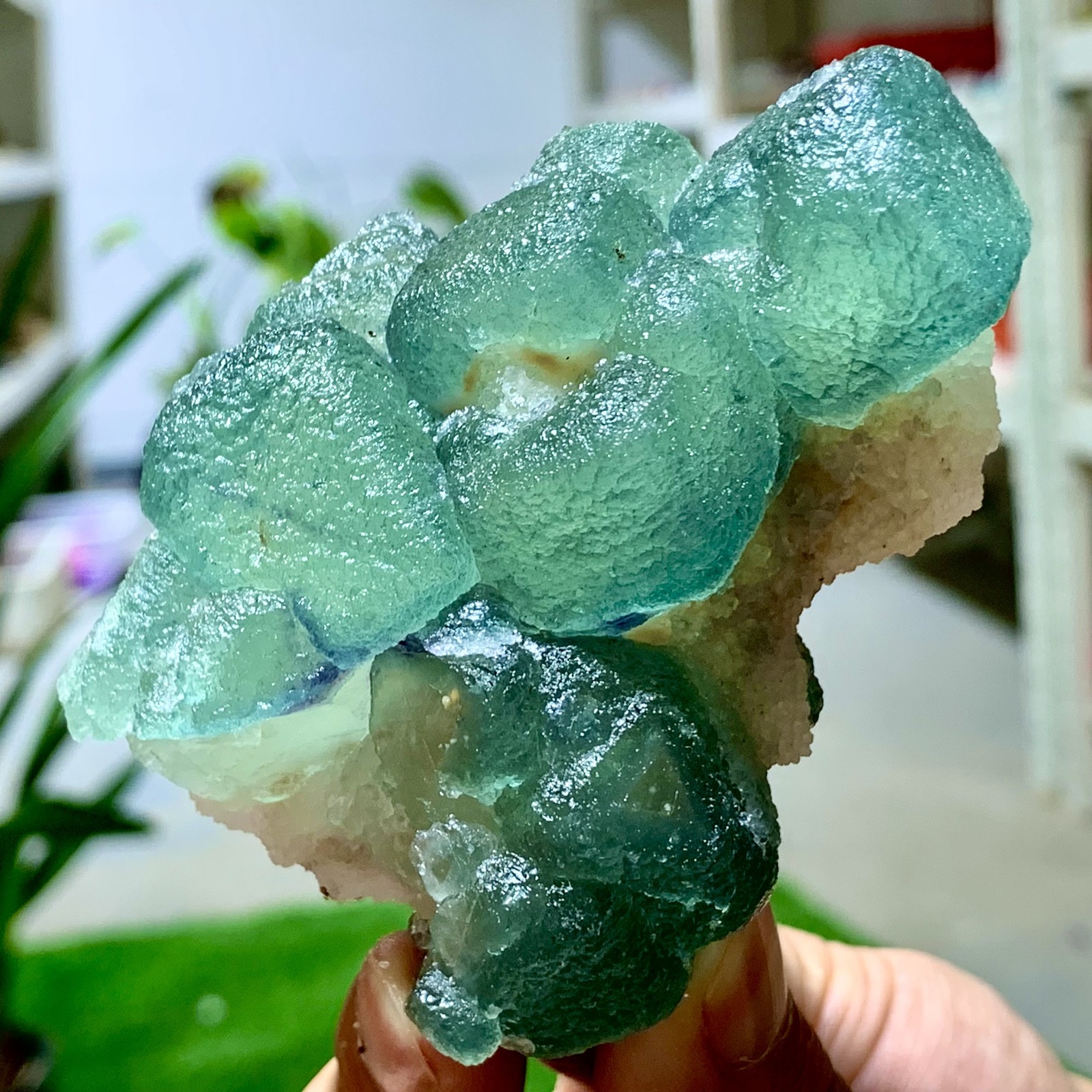 219G Rare Green Purple Cubic Fluorite Crystal Specimen from Zhejiang