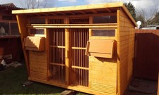 12 x 6 Pigeon Loft with ETS traps And Dowelled Doors Behind Front Doors