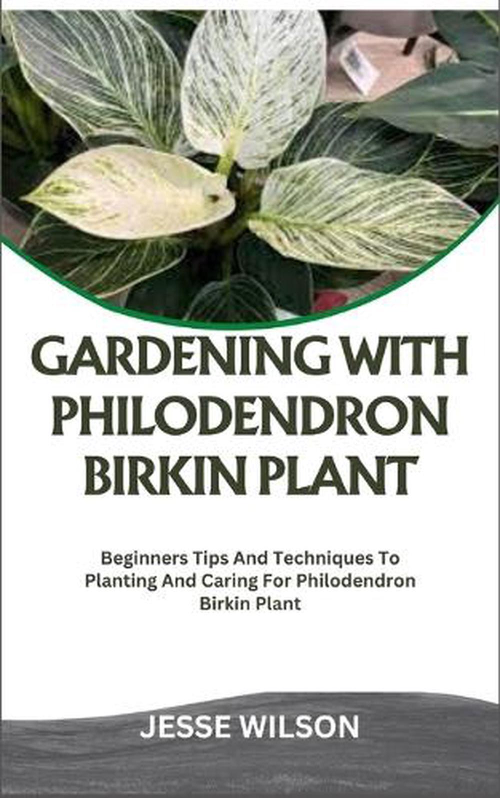 Jardinería con planta de abedul filodendro: consejos y técnicas para plantar para principiantes
