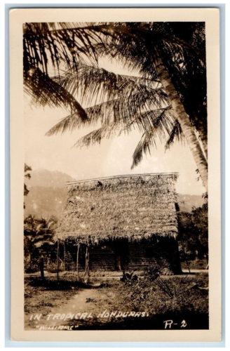 Carte postale Amérique centrale dans la maison tropicale Nipa Honduras c1910 photo RPPC - Photo 1 sur 2