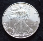 1-ounce 2005 Walking Liberty American Silver Eagle
