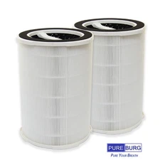 PUREBURG True HEPA Filters Compatible with Ganiza G200S G200 Air Purifier