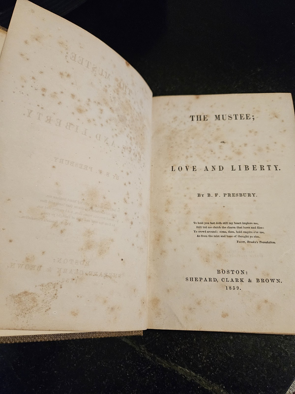 THE MUSTEE or Love and Liberty By BF Presbury Original 1859 Antique Book 1st Ed