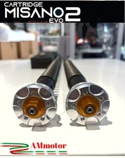 Cartuccia Forcella Ducati Monster 1100 Evo 2011 Andreani Group Misano Evo 2 Moto