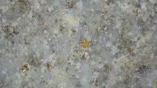 1lb pre-crushed calverite gold ore 1891 Colorado midland Trainwreck relic.