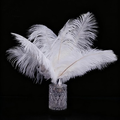 10 PCS 1012 Inch White Natural Ostrich Feathers Crafting Vase Party Decor