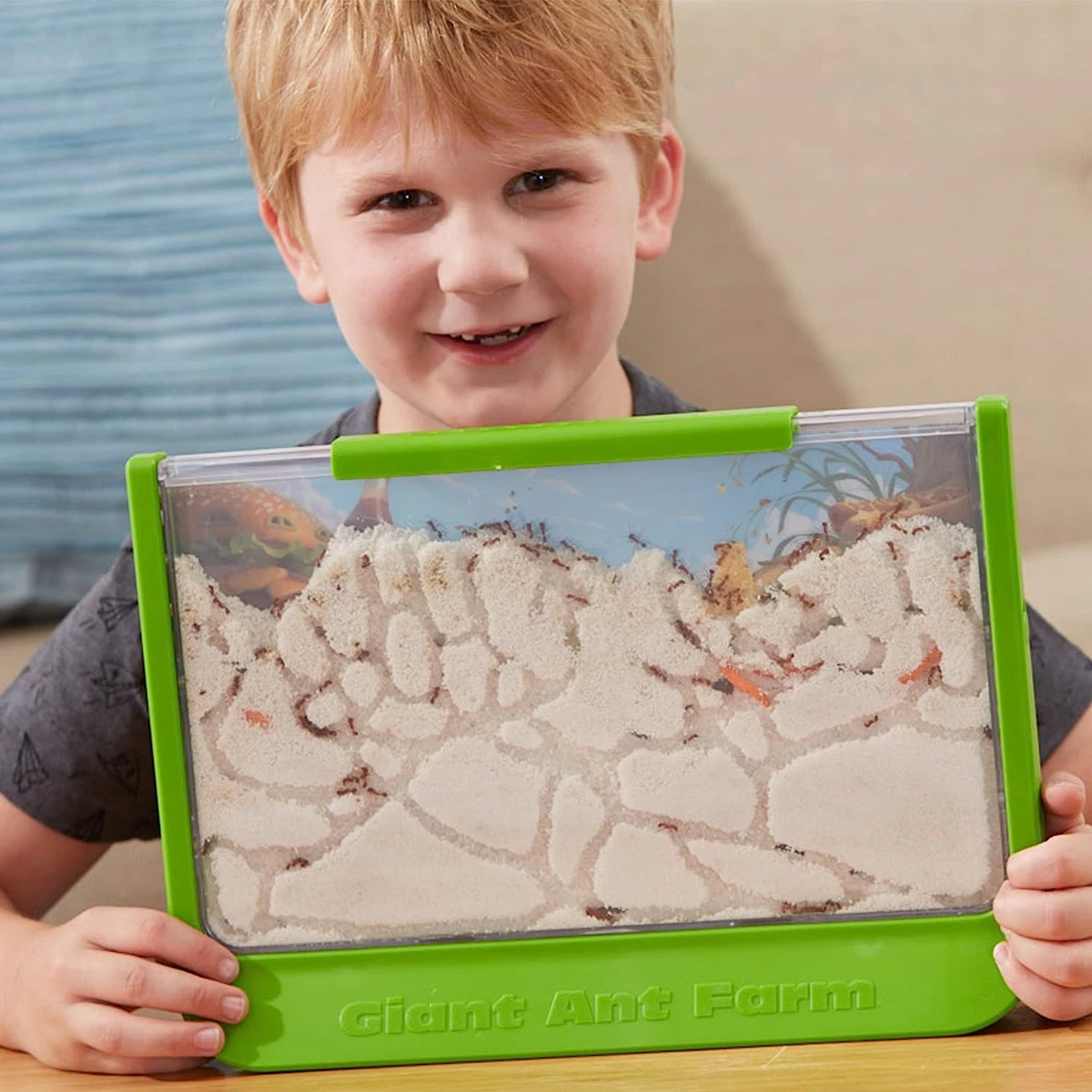 Uncle Milton Giant Ant Farm - Large Viewing Area - Care for Live Ants -  Natur... | eBay