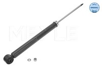 StoßDäMpfer Hinterachse FüR Seat Skoda VW Leon Toledo II Octavia I Bora Golf IV