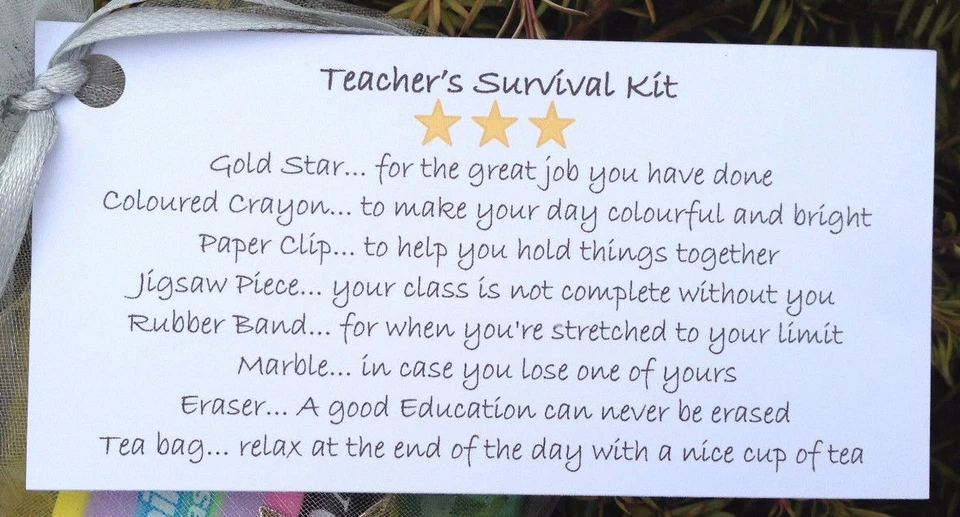 10 x Kit de survie de l'enseignant TAGS, cadeau de fin de mandat, merci enseignant.ÉTIQUETTES SEULEMENT