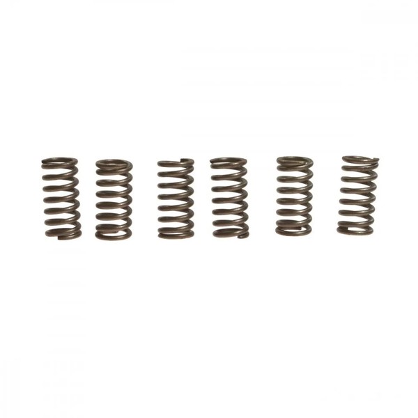 Kupplungsfeder VerstäRkt (6Stk) EBC CSK034 FüR Suzuki DR 125 SM Bj. 2008-2013-image