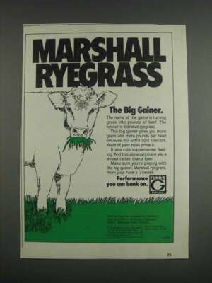 1985 Funk's G Marshall Ryegrass Ad - The Big Gainer | eBay