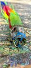 Bild 2 von 4