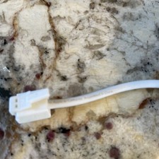 Apple 591-0075 RJ-11 Phone Modem Cable White
