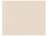 A.S. CréAtion Tapete Vlies 5825-46 Creme Grau Uni