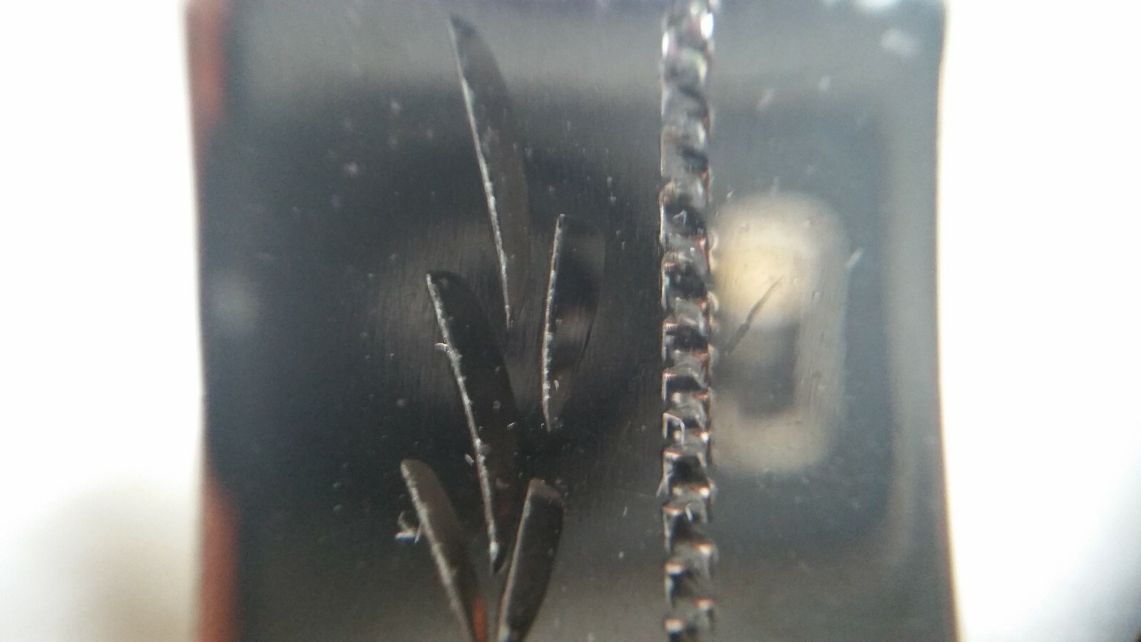 Picture 5 of 12