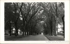 Princeton, Illinois IL Beautiful Tree Lined Street 1957 Original Vintage RPPC