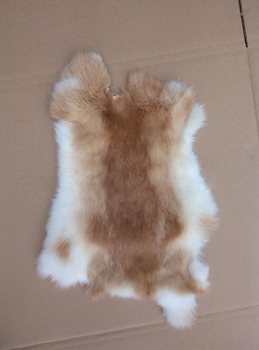 Real White Rabbit Fur Pelt - Genuine Tanned Taxidermy Hide For Crafts 10x12 Inches