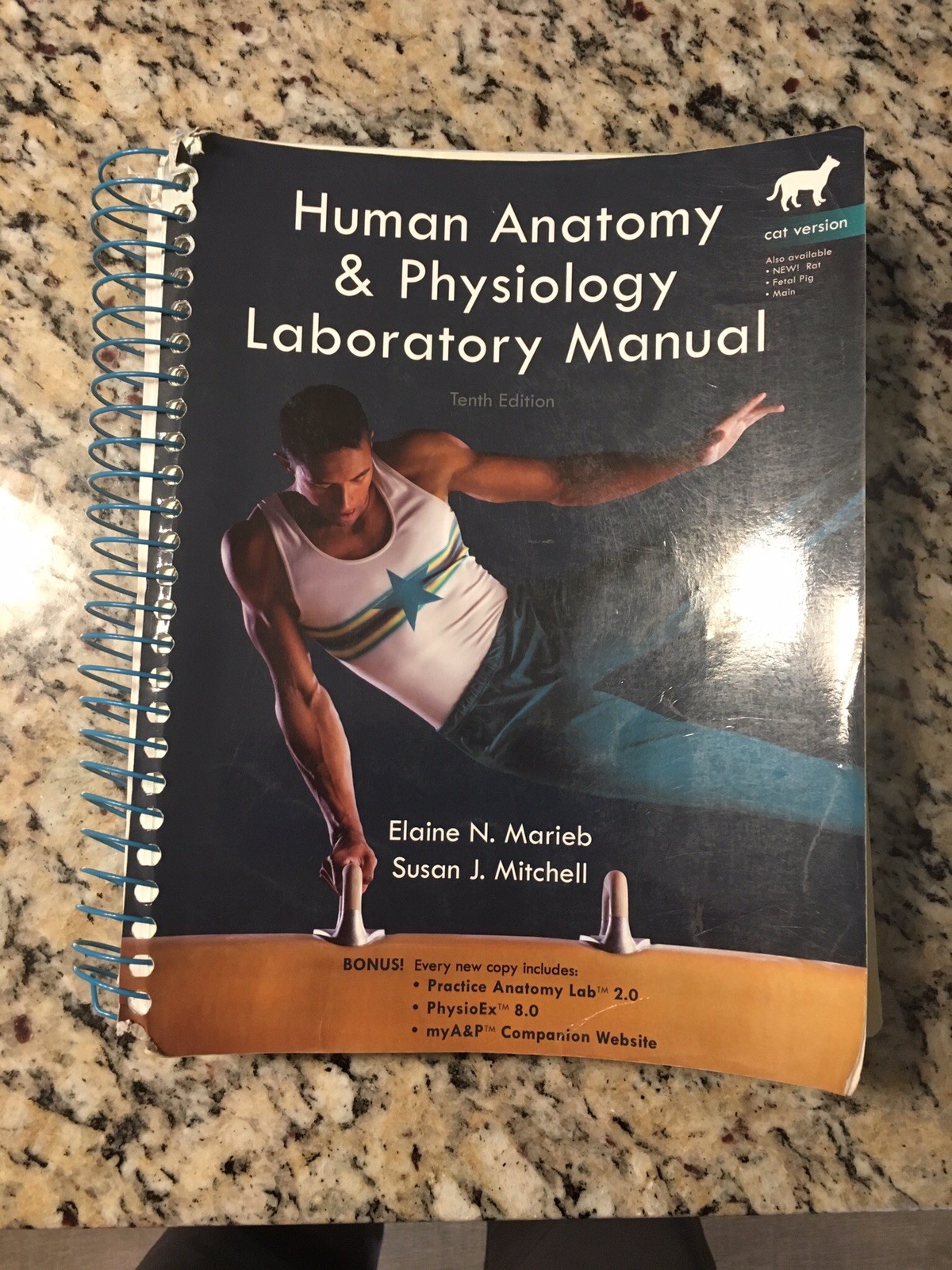 Human Anatomy and Physiology Lab Manual, Cat Version by Elaine N. Marieb  and Susan J. Mitchell (2010, CD-ROM / Spiral) | eBay