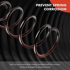 Moog Coil Spring Set Rear 81605 - View #5