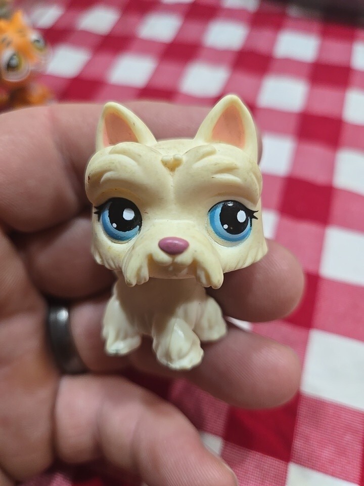 Lot of 20 Littlest Pet Shop Animals LPS Dogs Cats Bunnies eBay