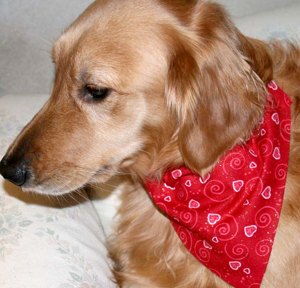 Bandana Collar Red Scarf For Dogs Valentine's Day Dog Bandana