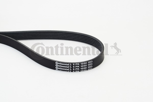 6PK1050 Continental Ctam Keilrippenriemen FüR Audi,CitroËN,Fiat,Iveco,Lexus,Opel-image
