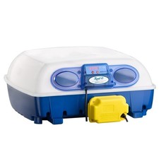Borotto REAL 49 Egg Chicken / Poultry Incubator Automatic